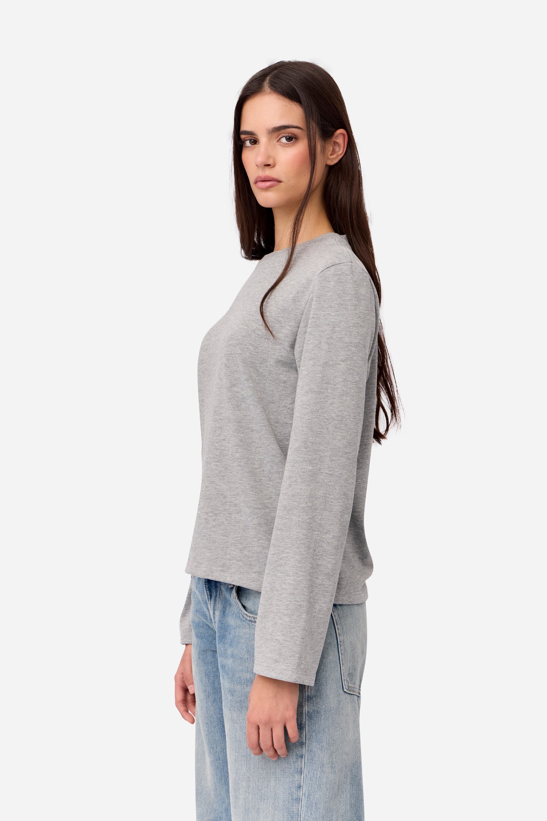Camiseta Algodón Manga Larga Gris