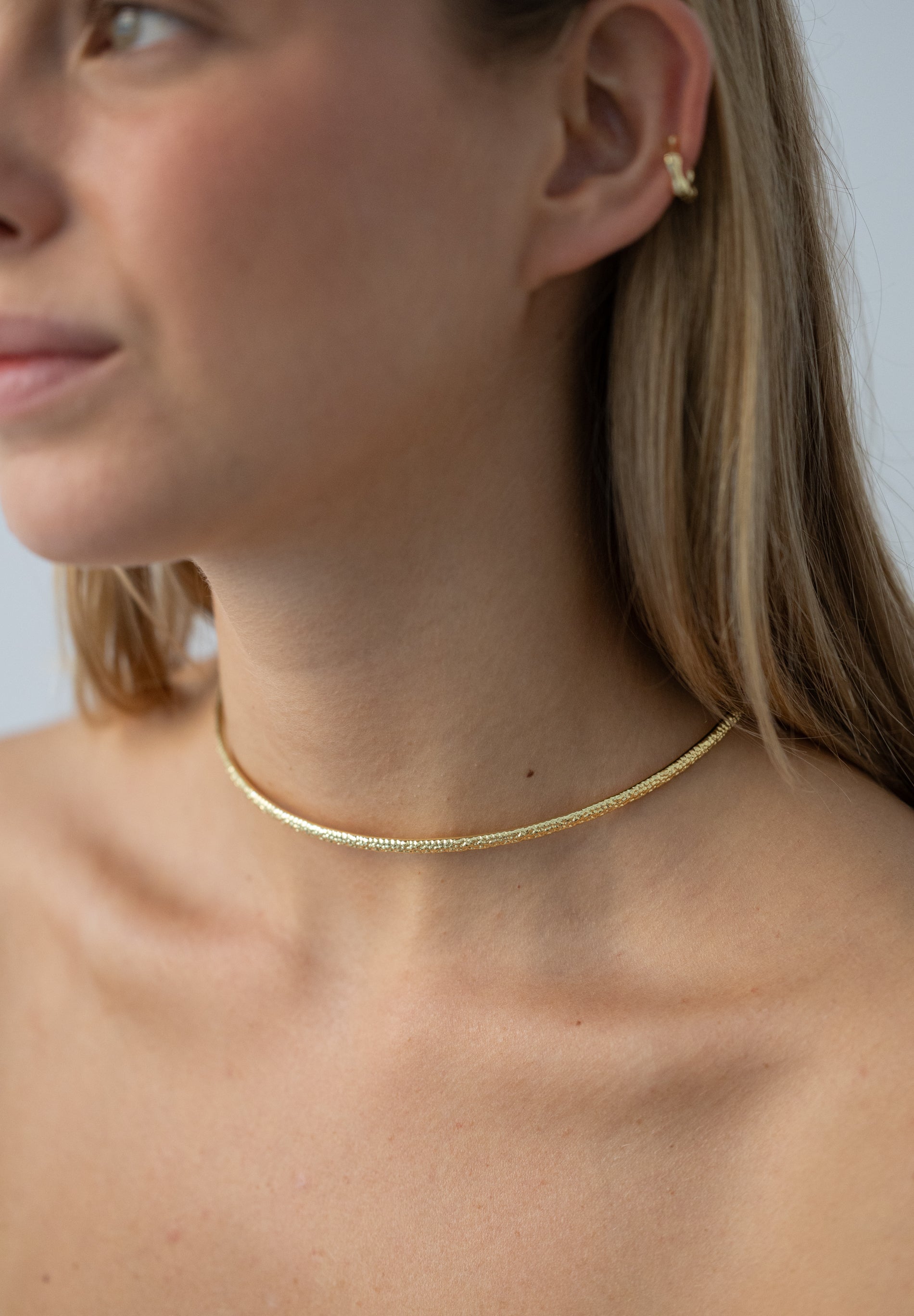 COLLARES RÍGIDOS