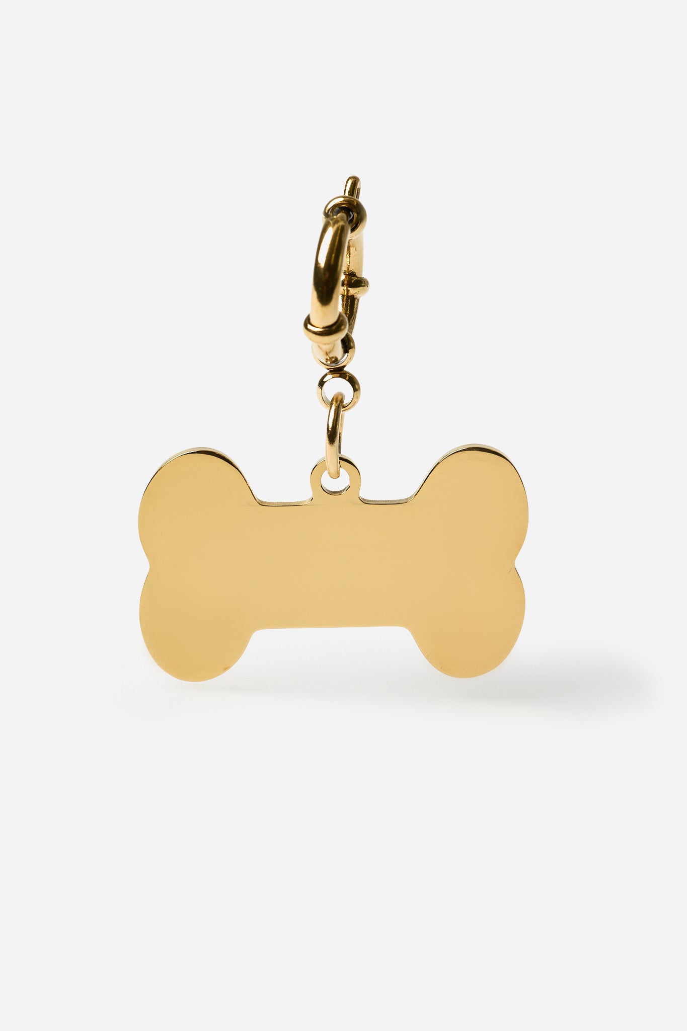 Customizable Pet Badge 🐾