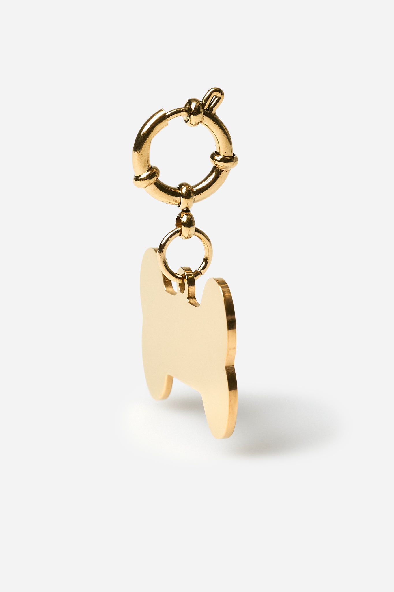 Customizable Pet Badge 🐾