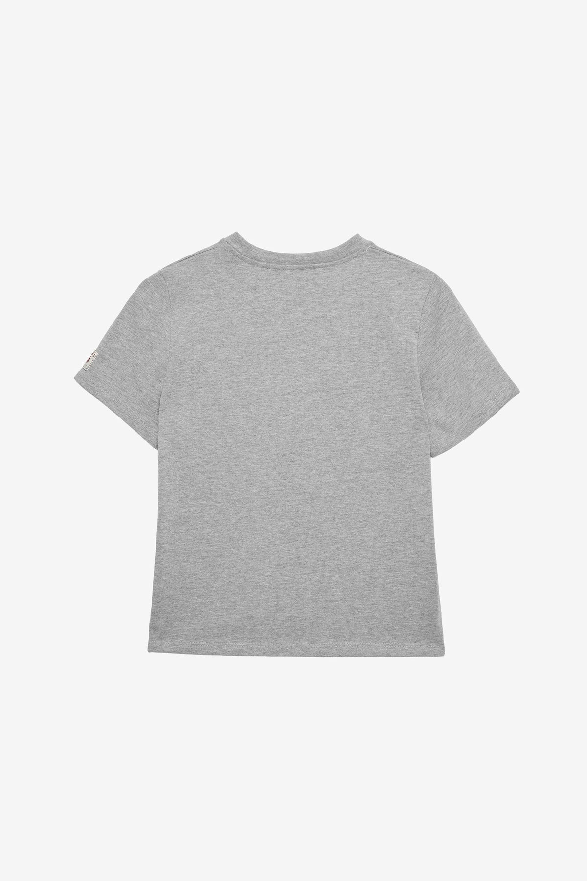 Camiseta Algodón Gris