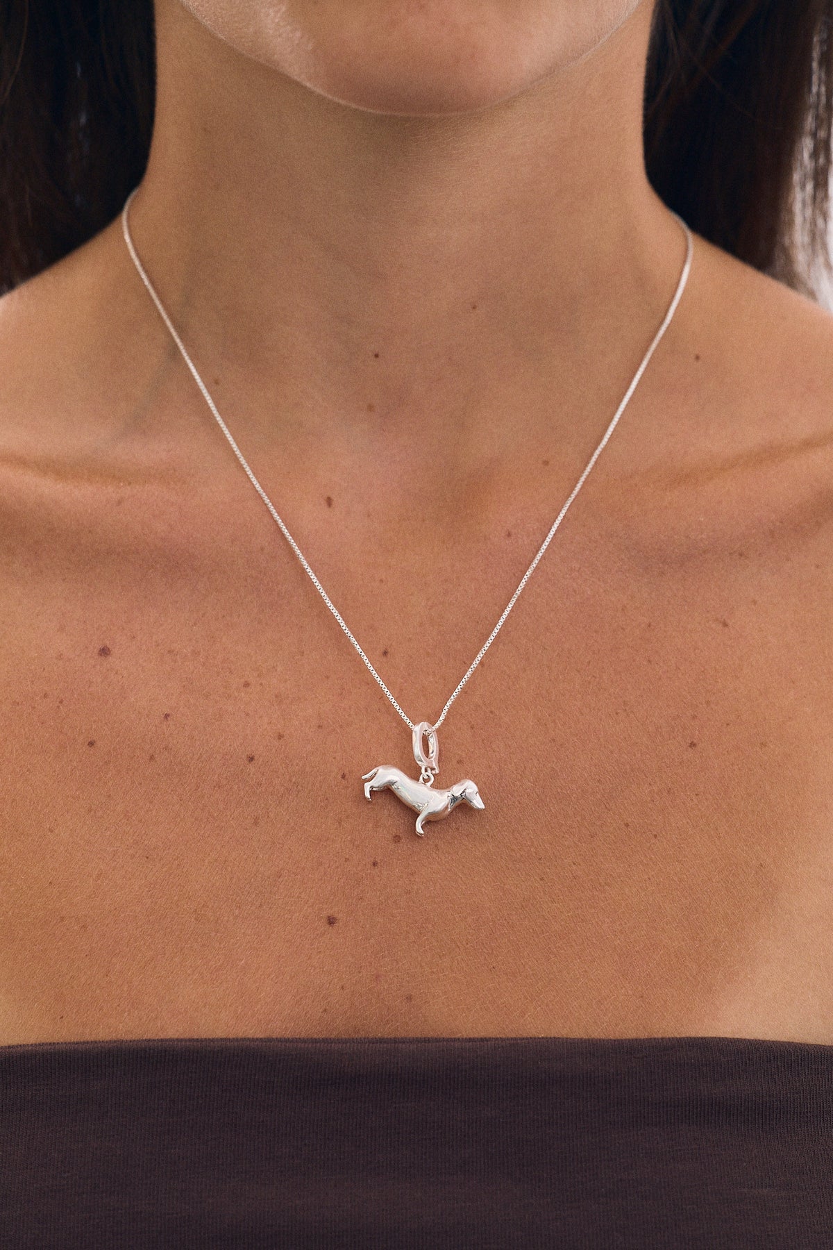 Dachshund Charm