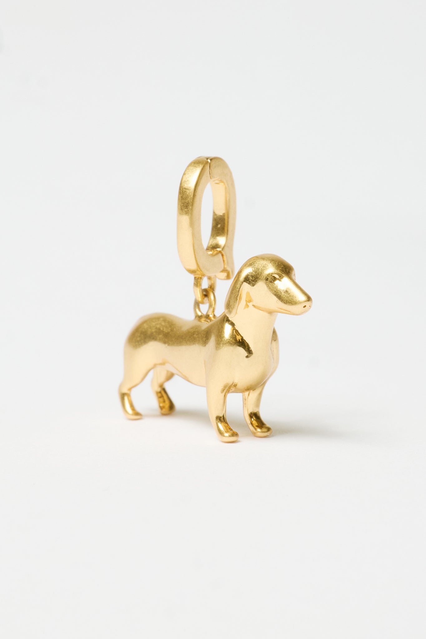 Charm Teckel